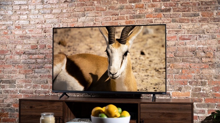 Vizio M Series 70 See the World in Exceptional Clarity